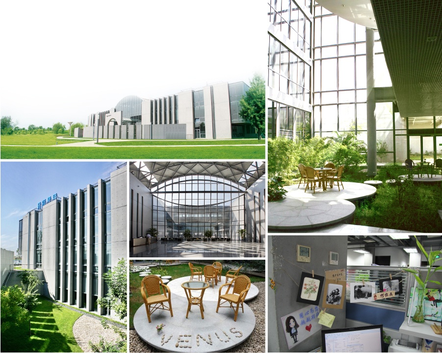 ������������ڴ���