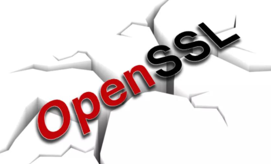 OpenSSL�����徲�������޸���Ʒ�е�2���徲���.png